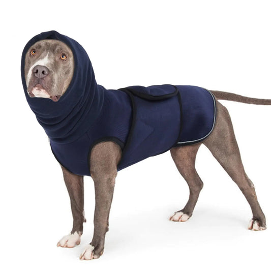 Dog wearing a navy blue anxiety jacket with a hood on a white background
