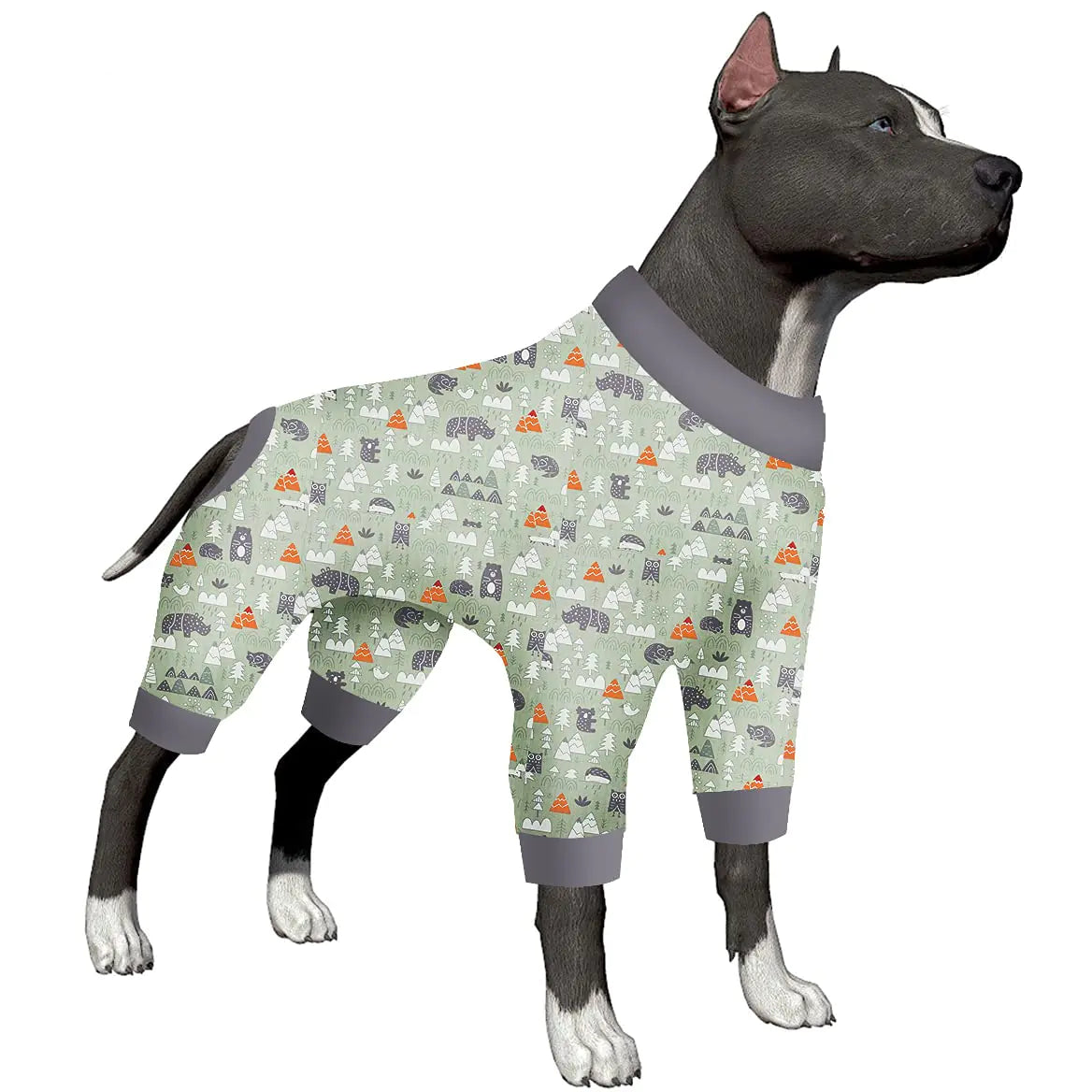 Dog wearing a patterned pajama set on a white background