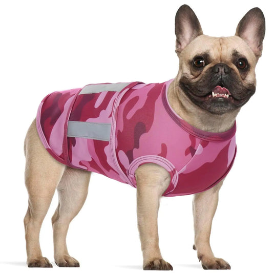 Dog wearing a pink camouflage anxiety jacket on a white background