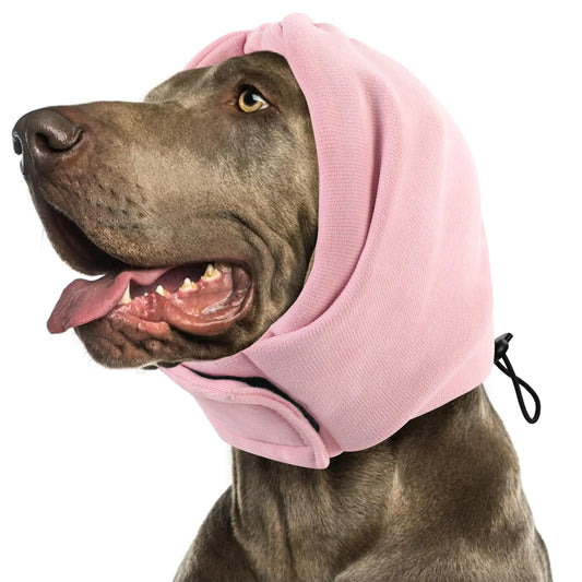 Dog wearing a pink hood on a white background