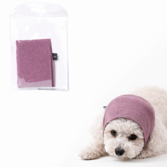 Dog wearing a pink hoodie on a white background