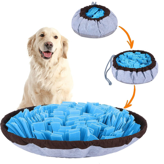 Dog with a blue and brown maze toy and its disassembled parts on a white background