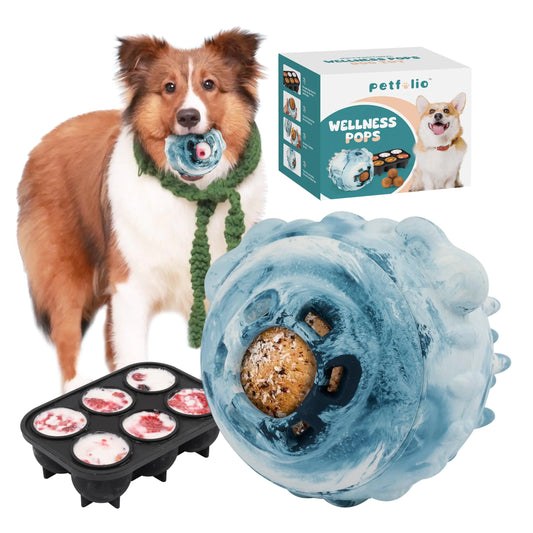 Dog with a blue ball toy, pet food packaging, and a baking tray with treats on a white background
