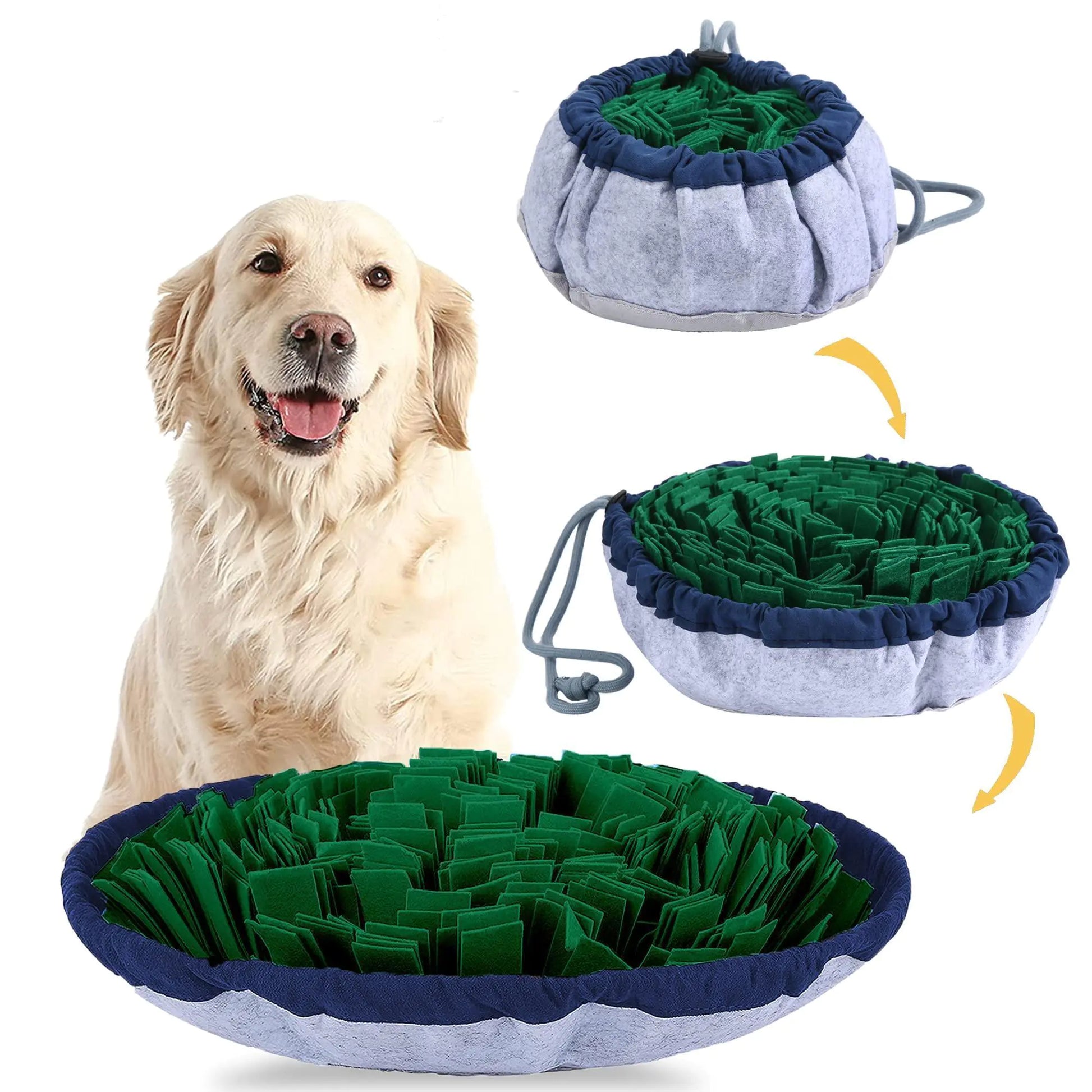 Dog with a green and blue dog toy and three views of the toy.