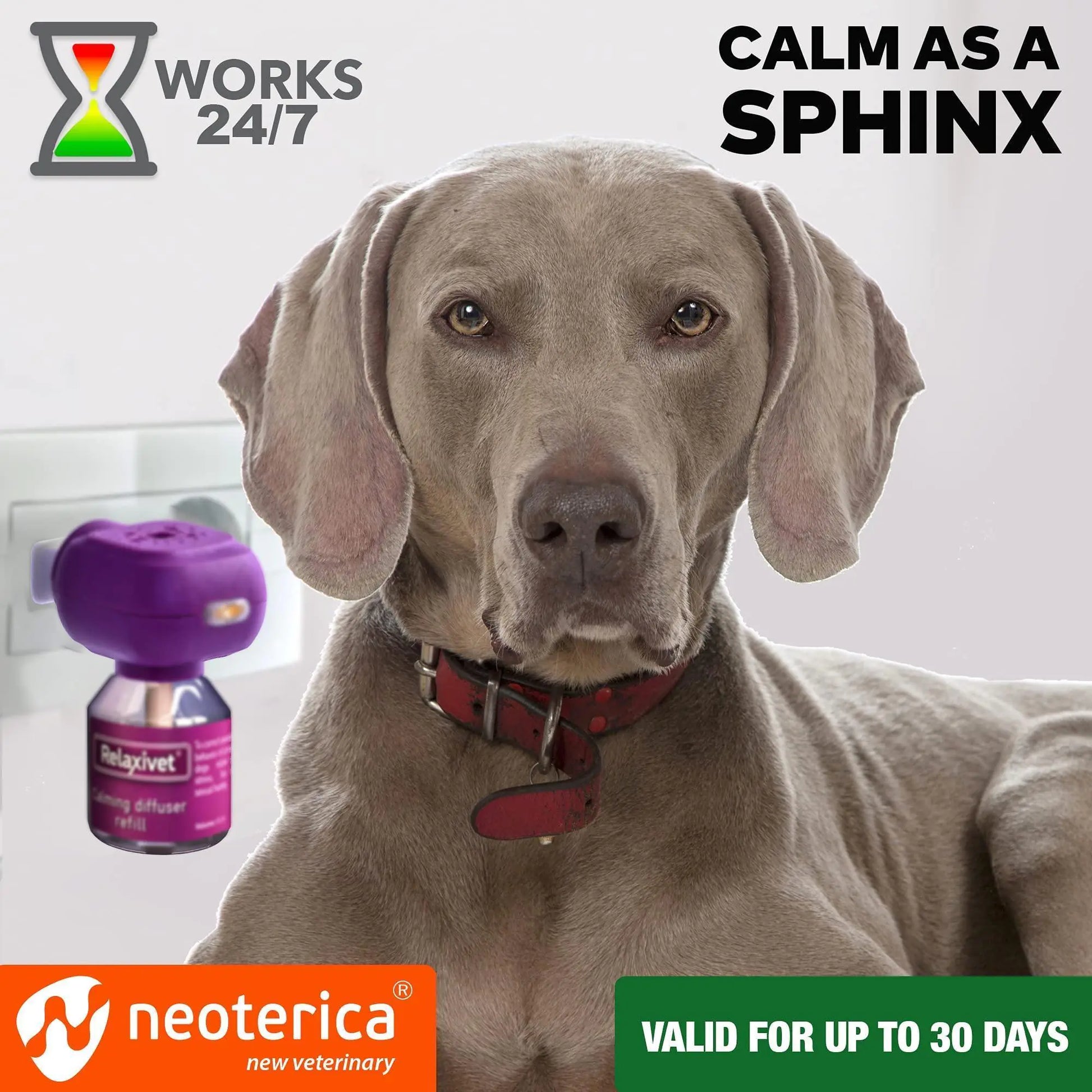 Dog with a purple diffuser and text about 'Calm as a Sphinx' and 'Neoterica' on a white background