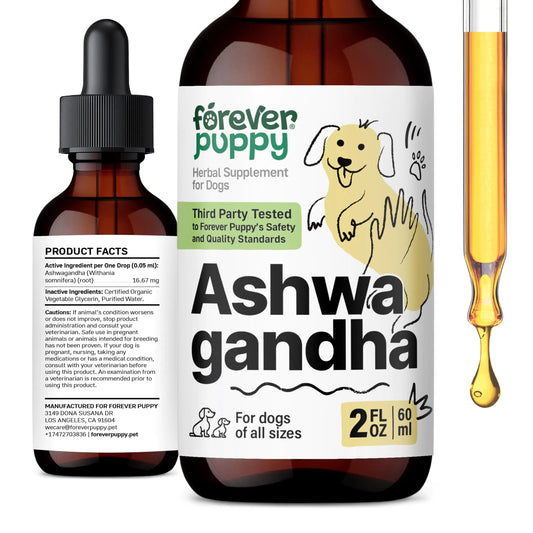 Herbal supplement bottle for dogs with dropper labeled 'Forever Puppy Ashwa Gandha'.