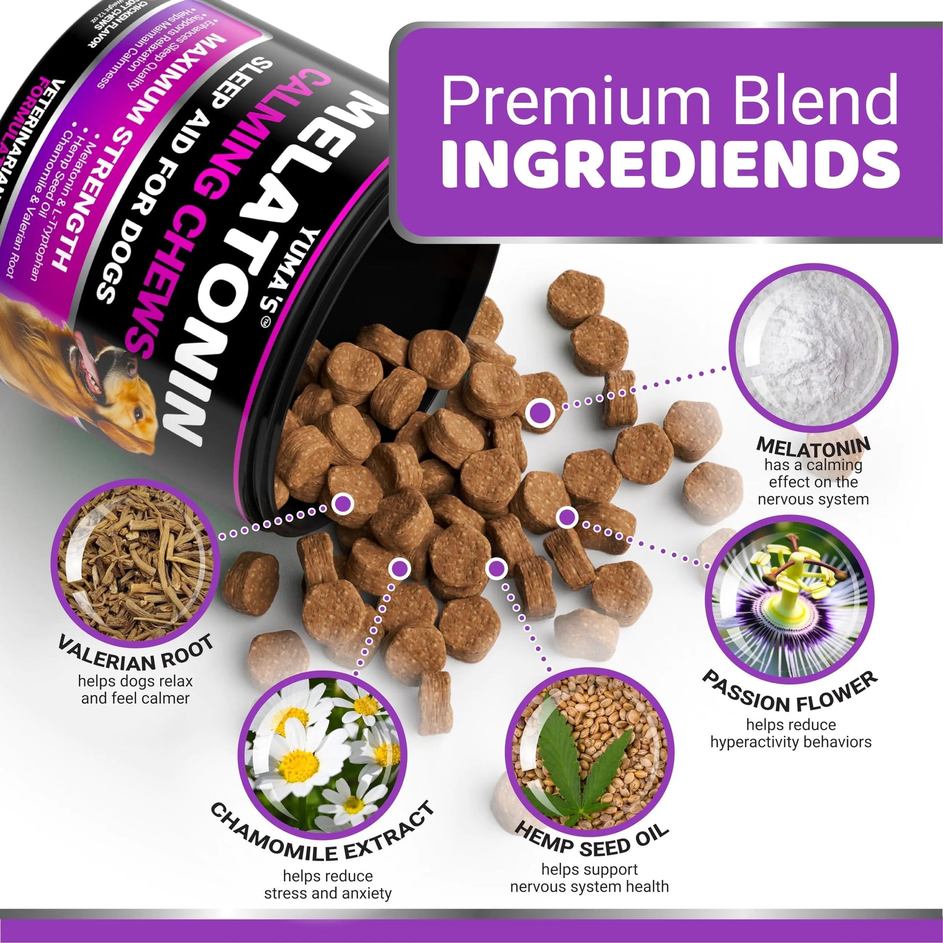 Melatonin dog chews packaging with ingredients labeled on a white background