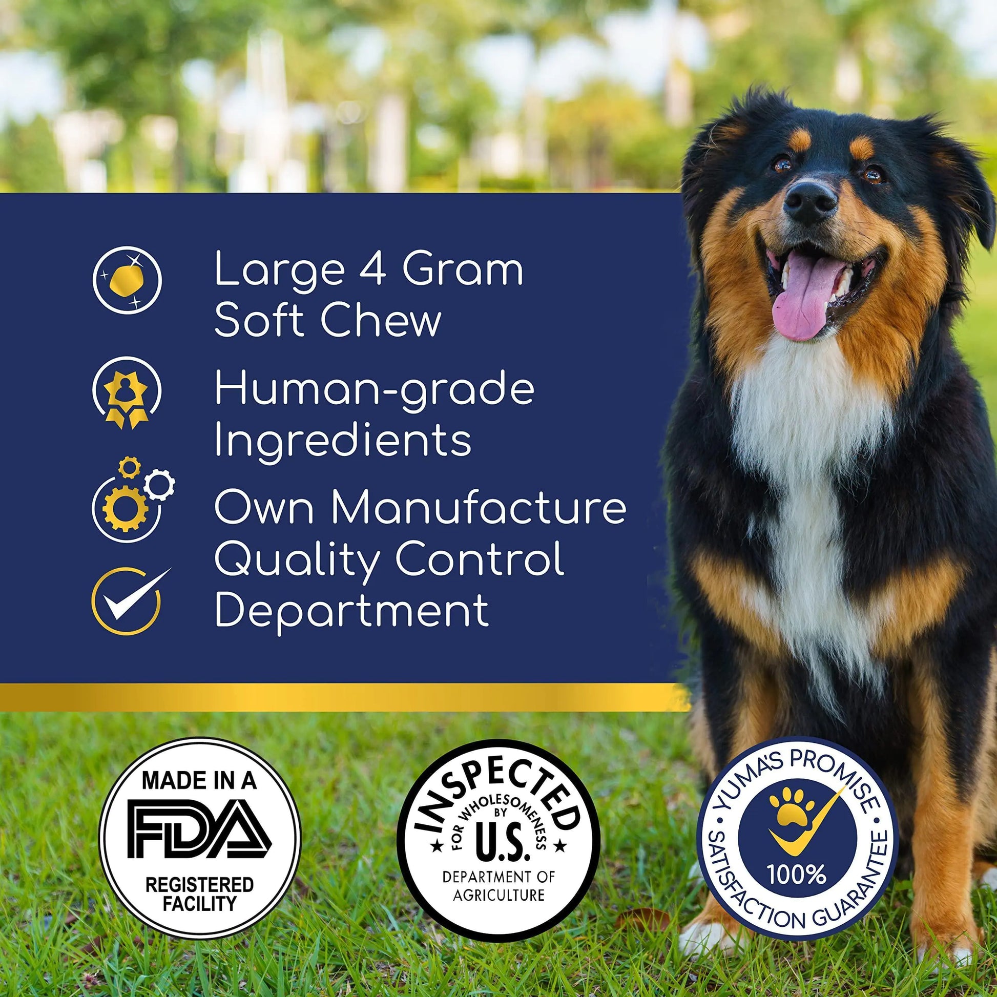 Dog standing on grass with product features listed and certification logos displayed.