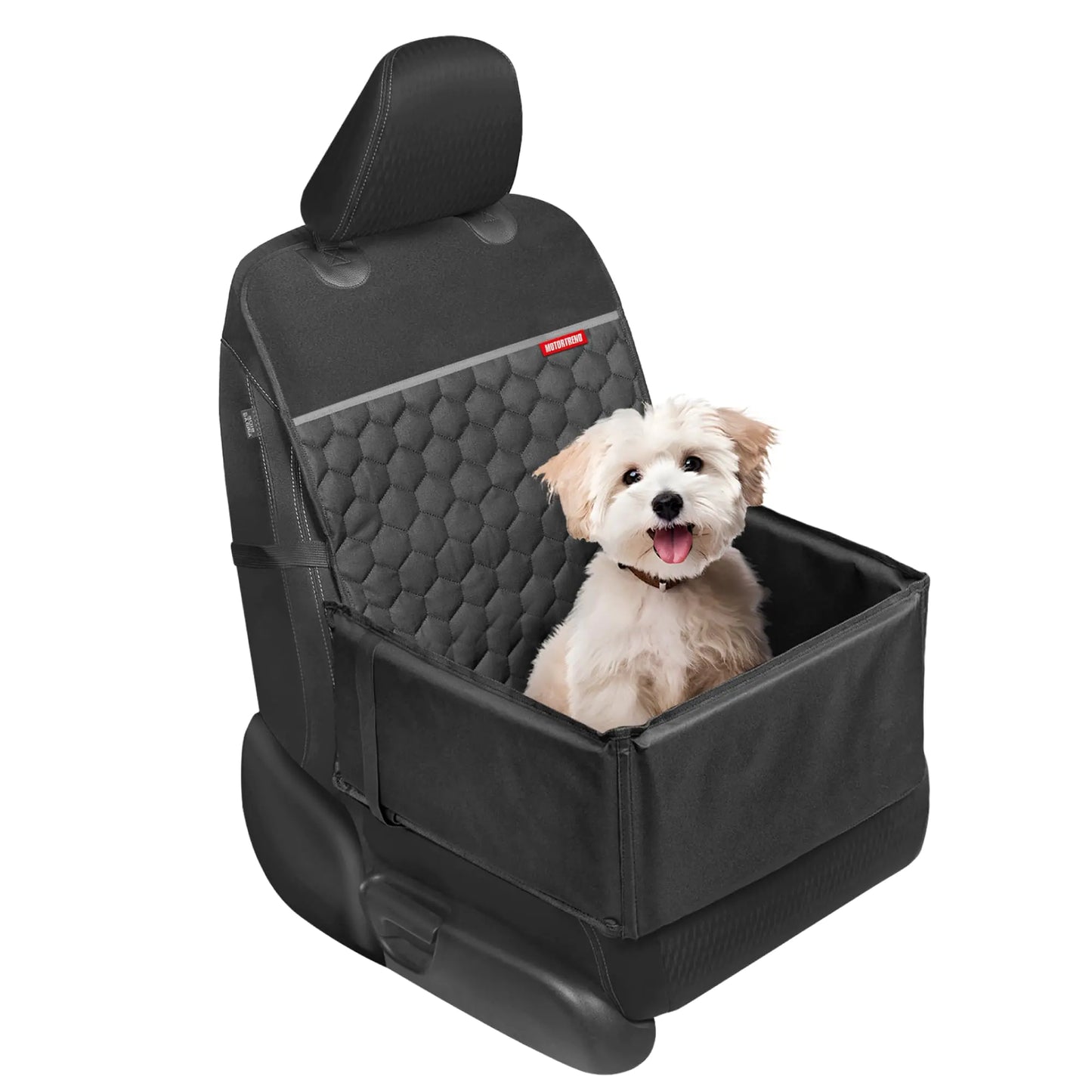 Small white dog in car dog seat