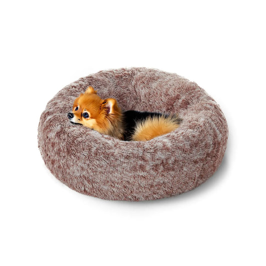 Small dog inside a fluffy donut-shaped pet bed on a white background