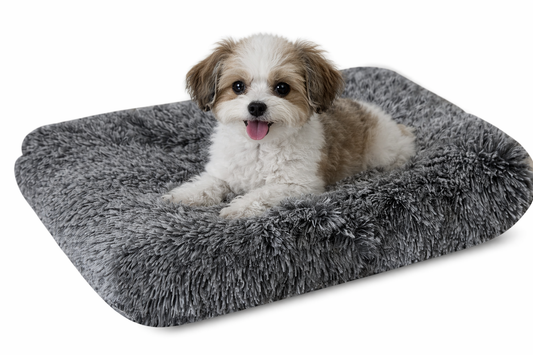 Small dog lying on a fluffy gray pet bed against a white background