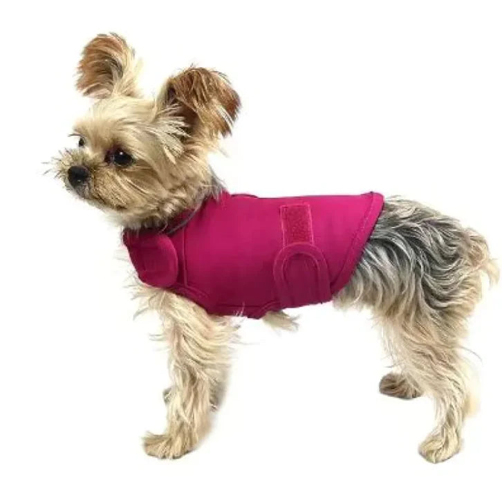 Small dog wearing a pink jacket on  a  white background