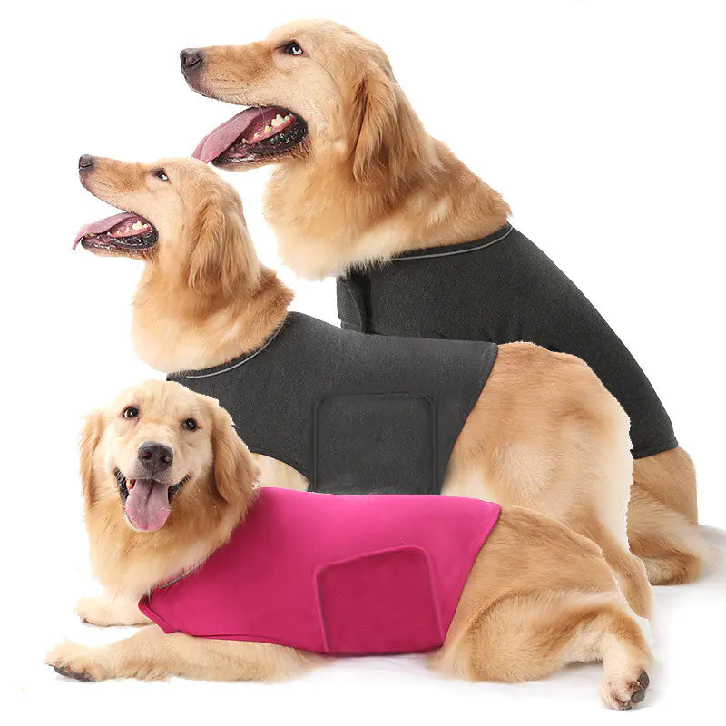 Three dogs wearing black and pink dog coats on a white background