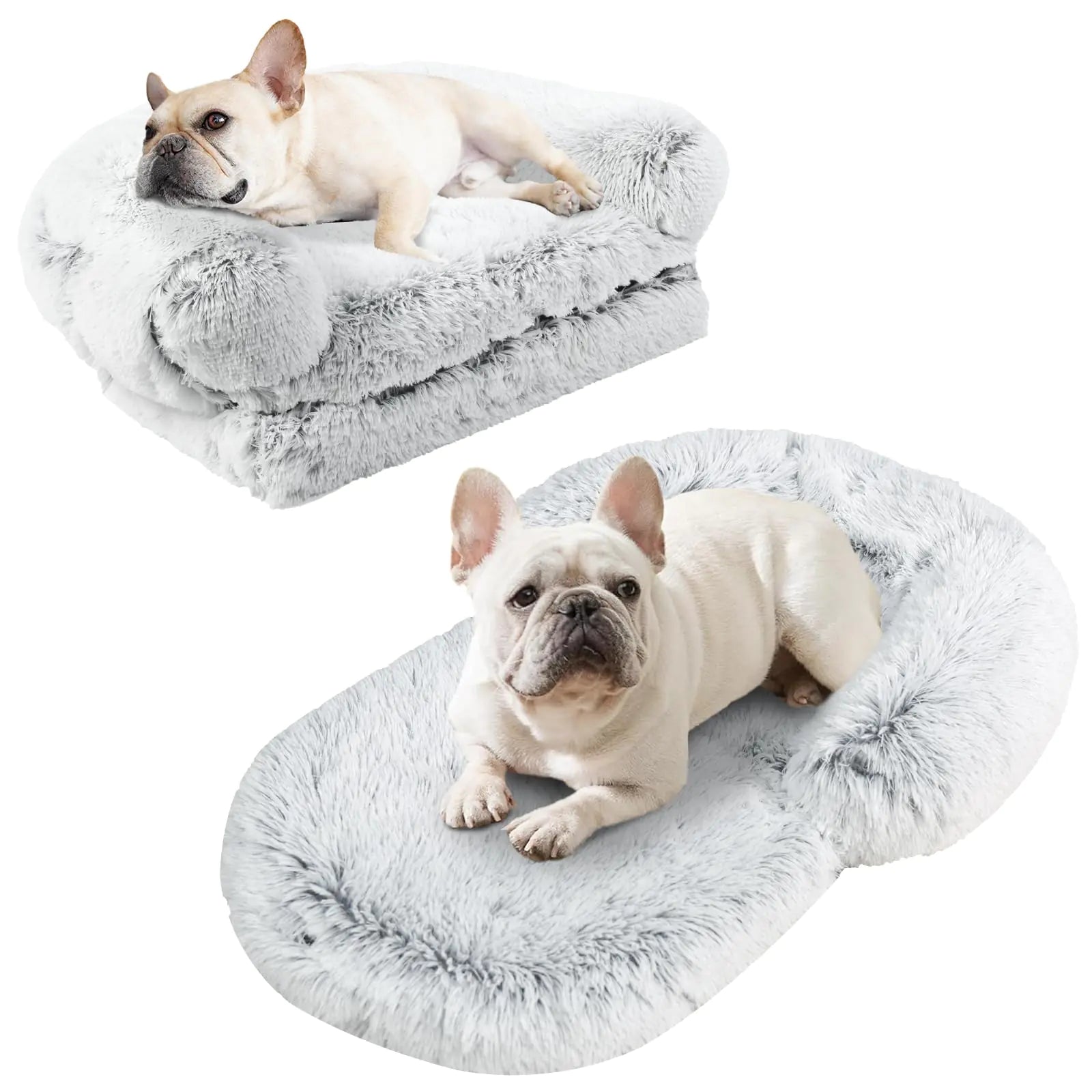 Two dogs on fluffy gray pet beds with a white background