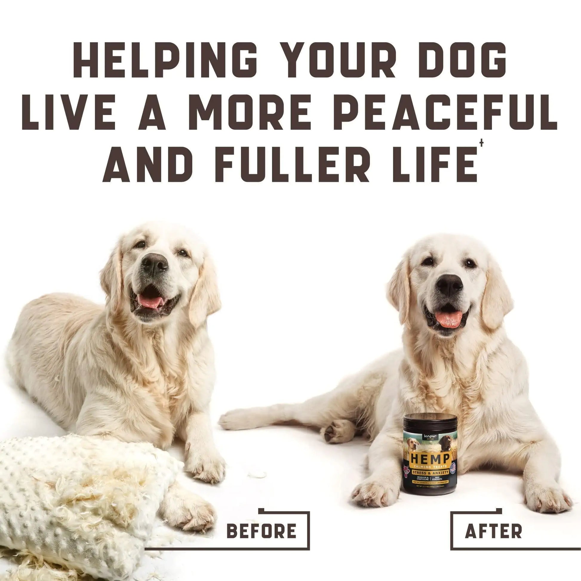 Two dogs, one labeled 'Before' and one labeled 'After', with a Hemp product container between them on a white background.