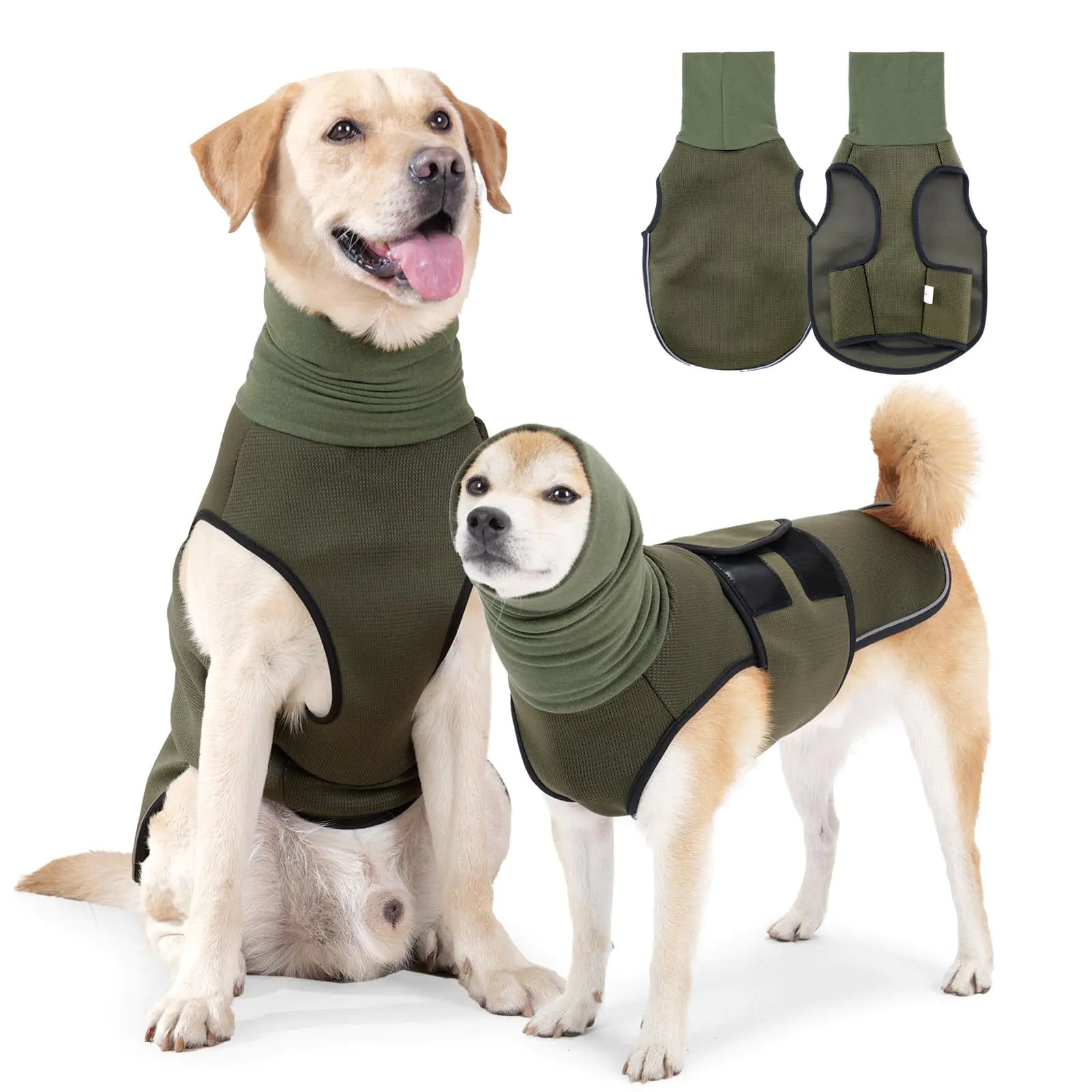 Two dogs wearing green dog anxiety jackets on a white background