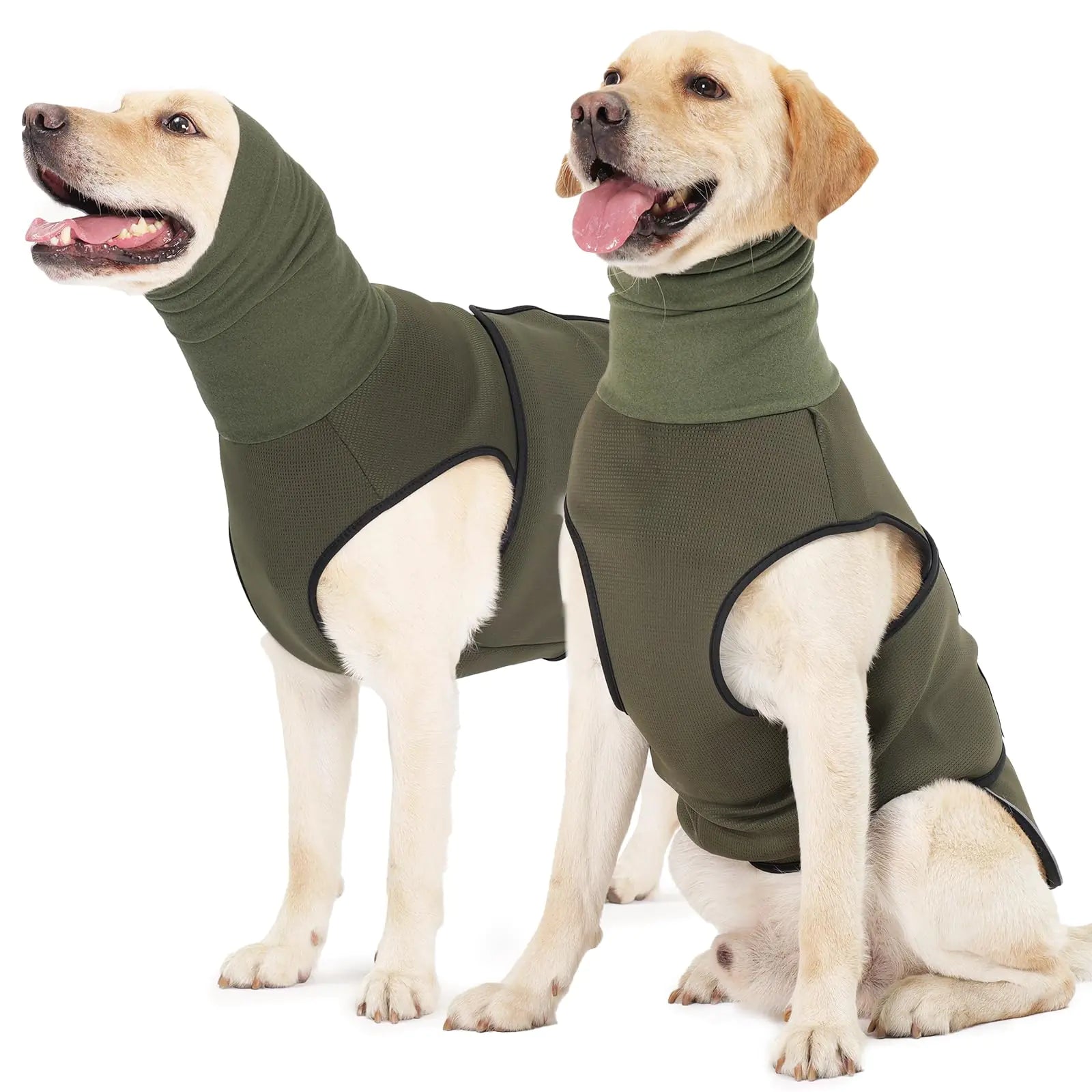 Two dogs wearing green  coats on a white background