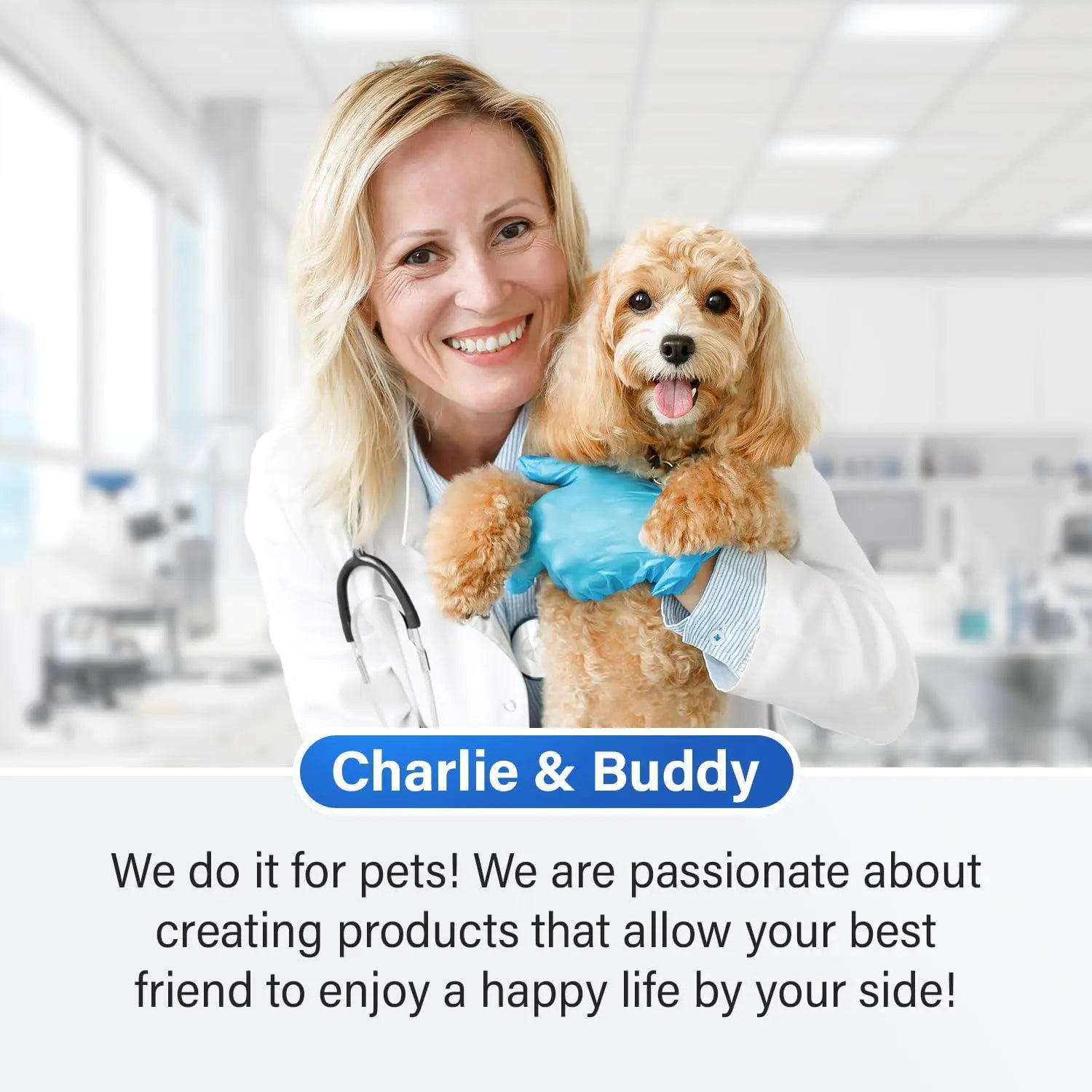 Woman holding a dog in a veterinary clinic with promotional text overlay.