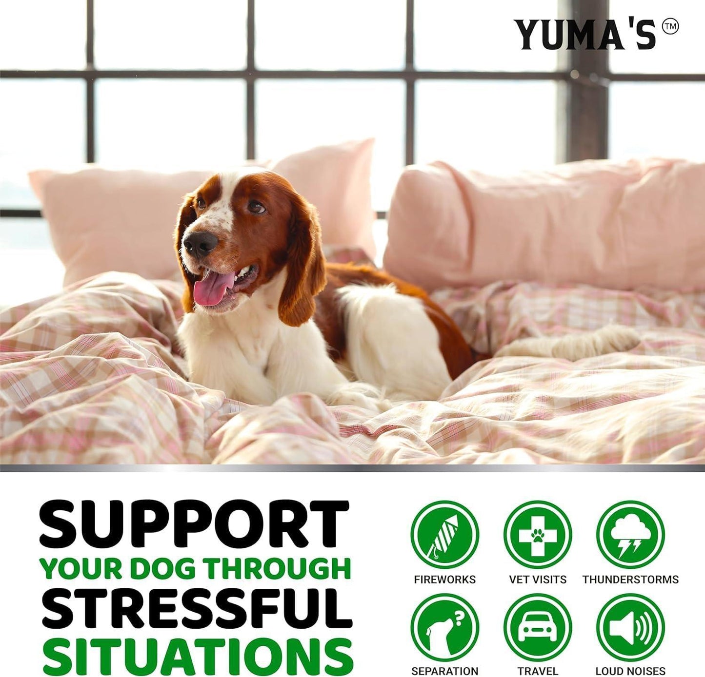 LOW STOCK - 2 Pack Hemp Calming Chews for Dogs Advanced Dog Calming Treats Dog Calming