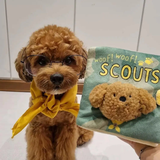 Generic Dog Enrichment Toys Interactive Sniff Mat Cute Slow Feeder Dog Snuffle Book Interactive Dog Toys Dog Feeding Mat Squeaky Snuffle Mat Puzzle Toys for Pet Green