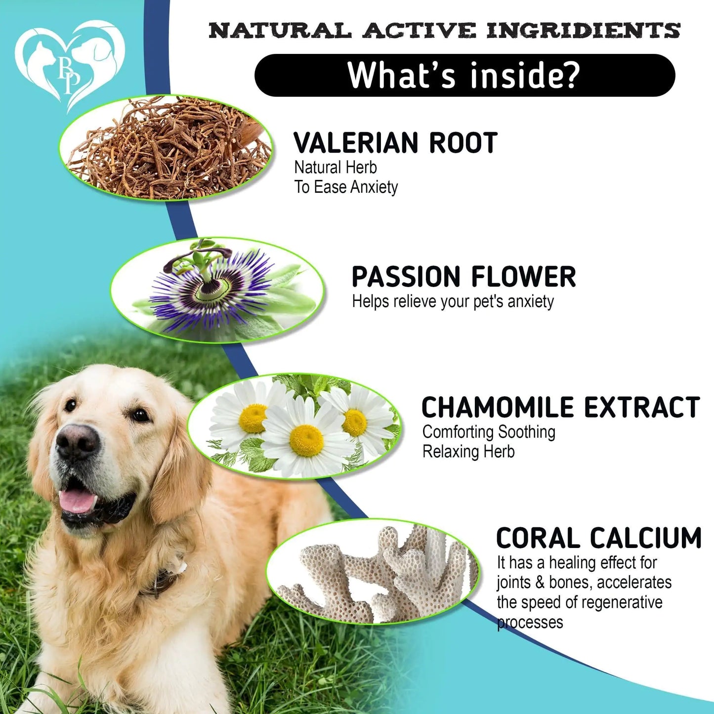 Dog sitting on grass with natural active ingredients for pet anxiety relief displayed above.