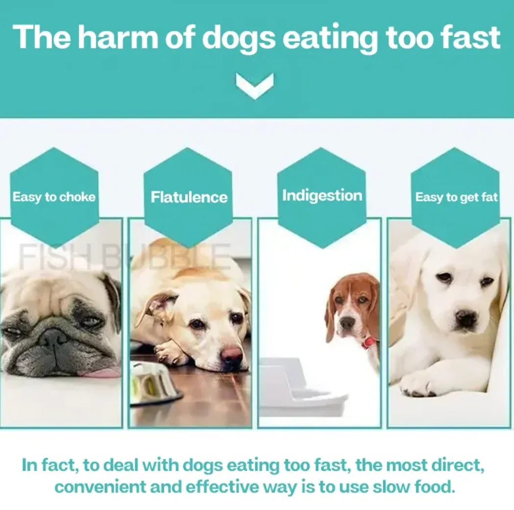 Diagram showing the harm of dogs eating too fast with images of dogs and text on a blue background.